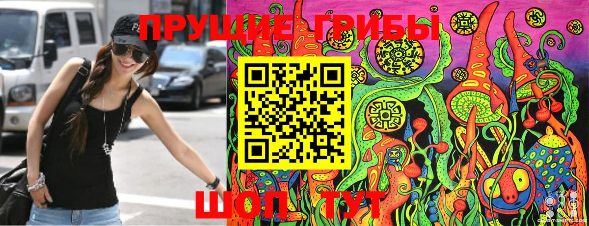 Галлюциногенные грибы MAGIC MUSHROOMS  Вход с VPN  Солнечногорск 